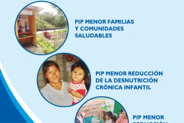 Perfiles Orientados a Mejorar la Salud y Sus Determinantes Sociales en el Ámbito Local