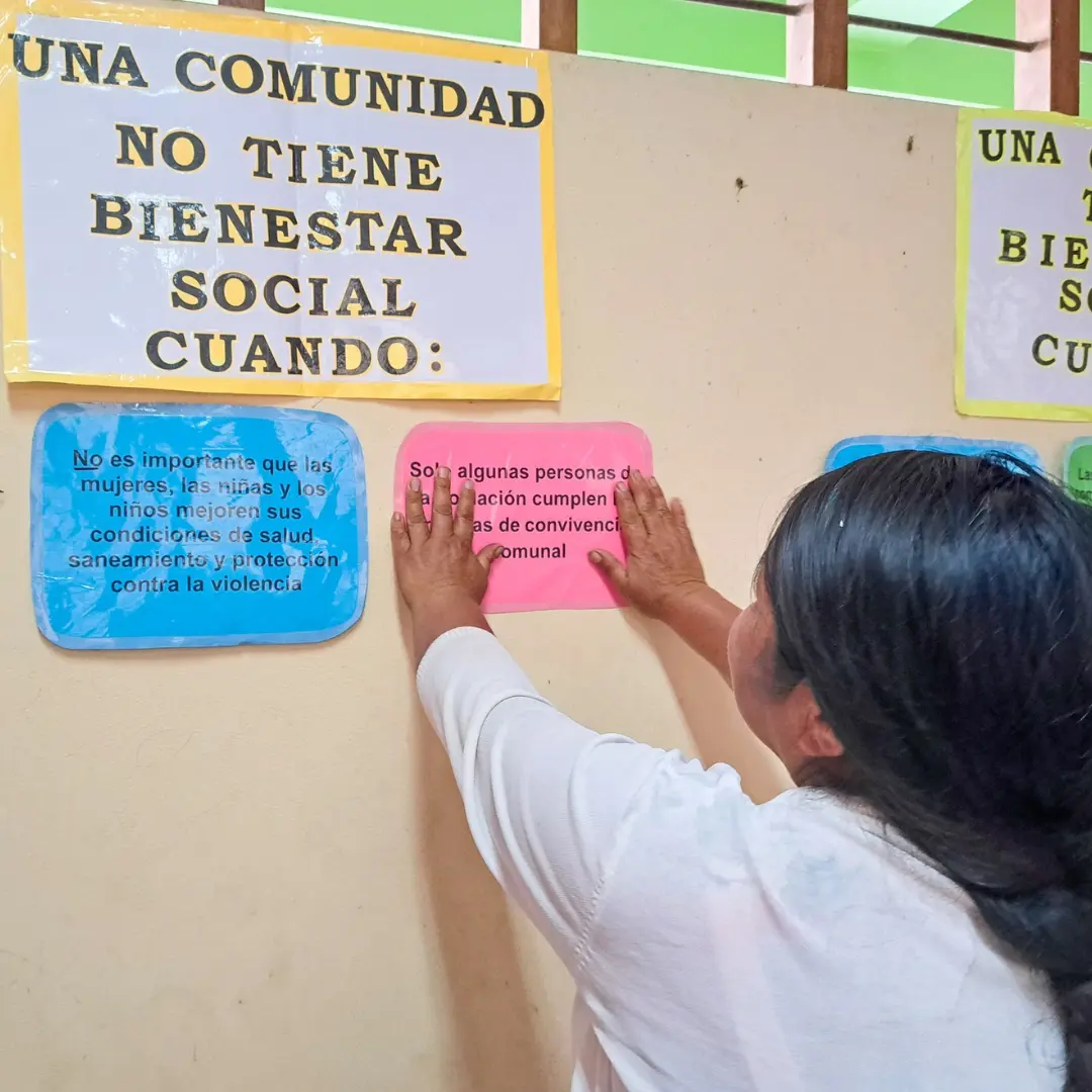 Lineas de Acción de MSH-Peru con Propósito