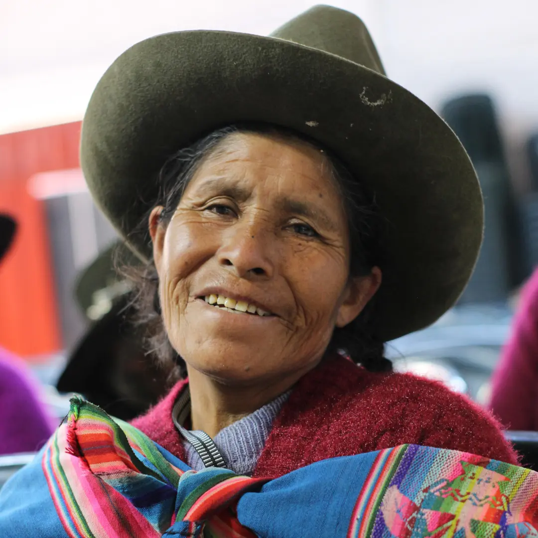Quienes Somos MSH-Peru